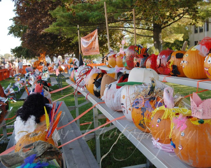 Tuscola County Pumpkin Festival Caro MARVAC