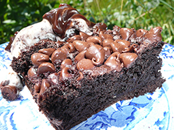 Chocolate-Pudding-Dump-Cake-