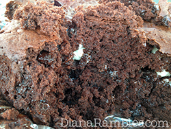dutch-oven-chocolate-cake-rambles