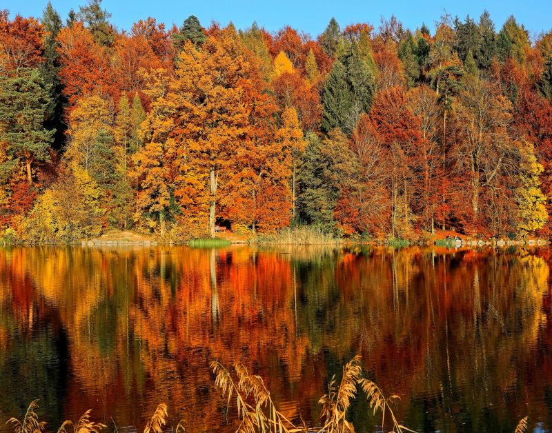 12 Michigan Trails to Hike to See Fall Colors - MARVAC