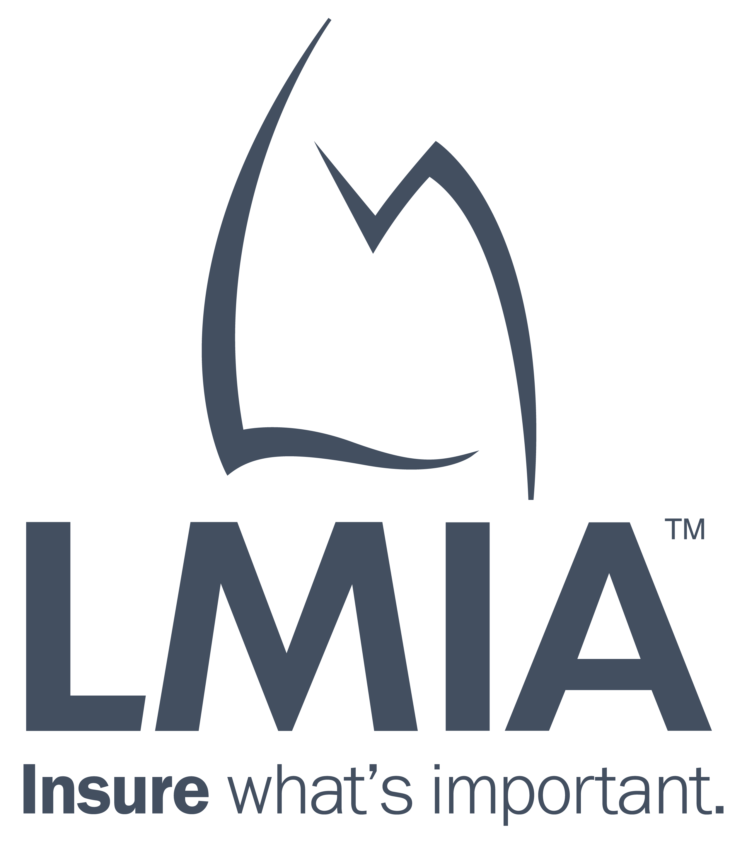lmia logo