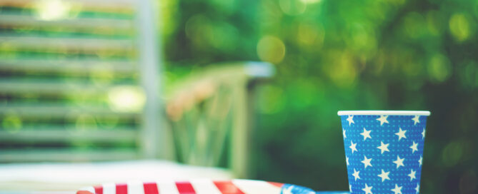 Memorial Day, Fourth of July picnic camping plates